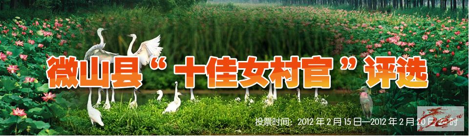 点击在新窗口查看原始图片