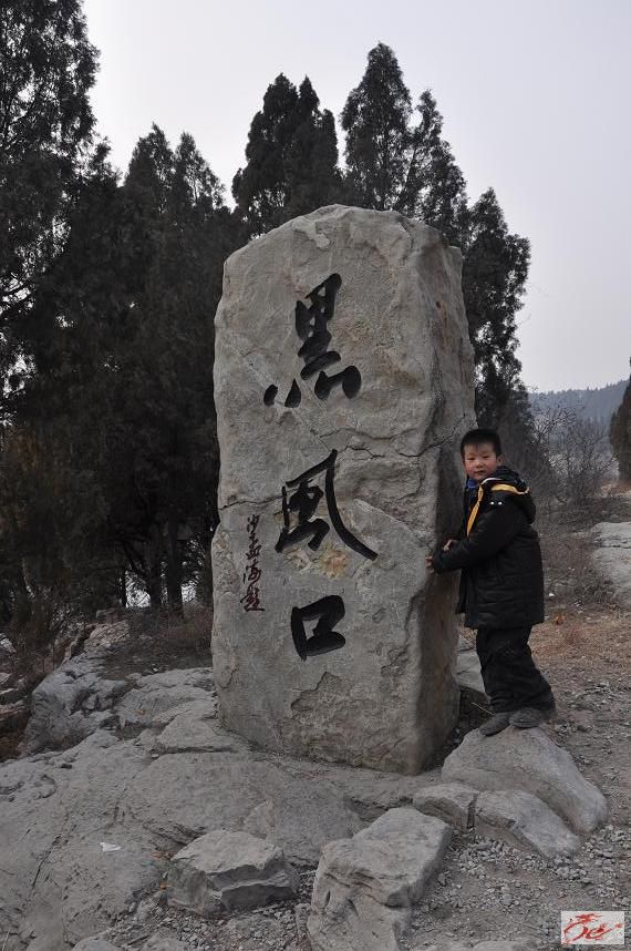 点击在新窗口查看原始图片