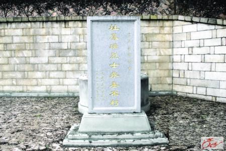点击在新窗口查看原始图片