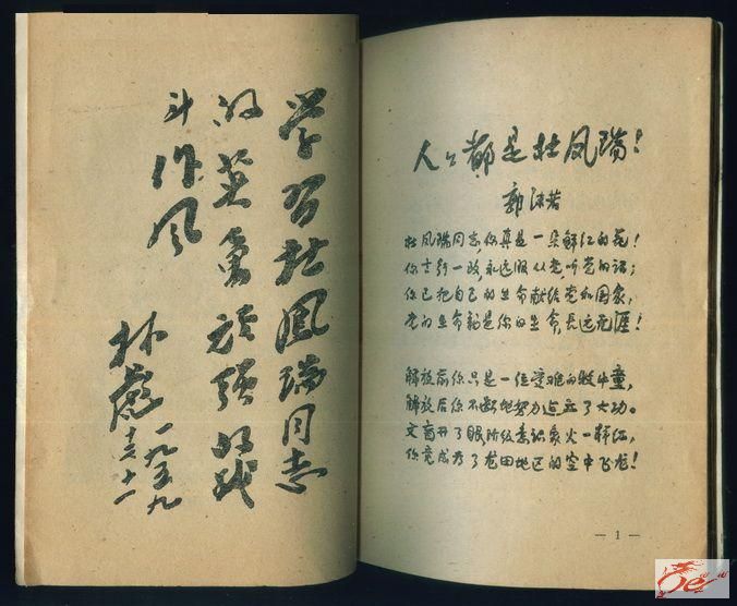 点击在新窗口查看原始图片