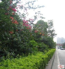 点击在新窗口查看原始图片