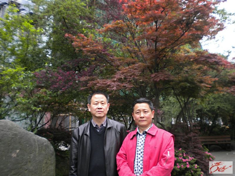点击在新窗口查看原始图片