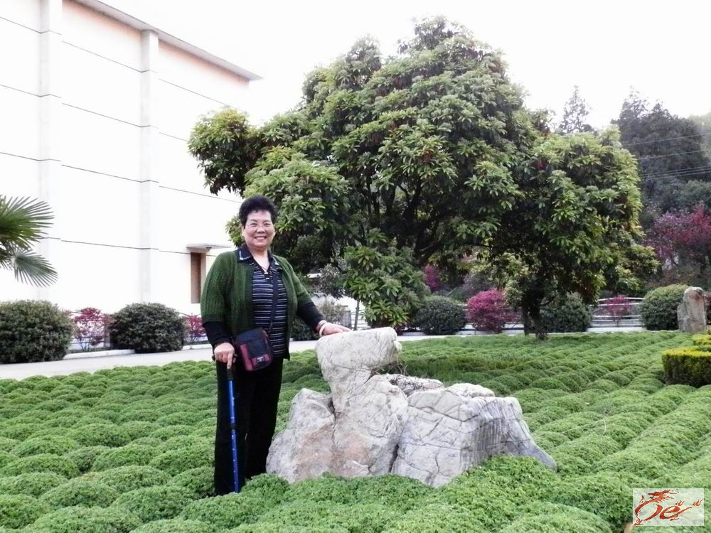 点击在新窗口查看原始图片