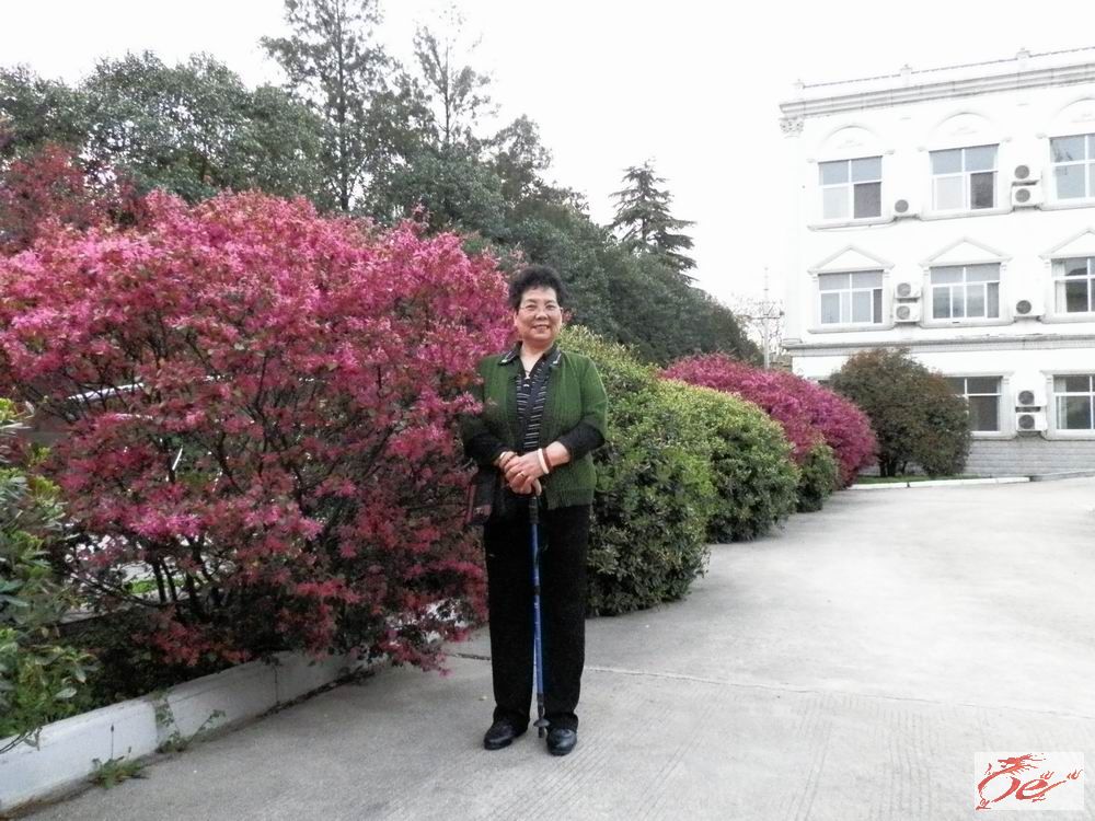 点击在新窗口查看原始图片