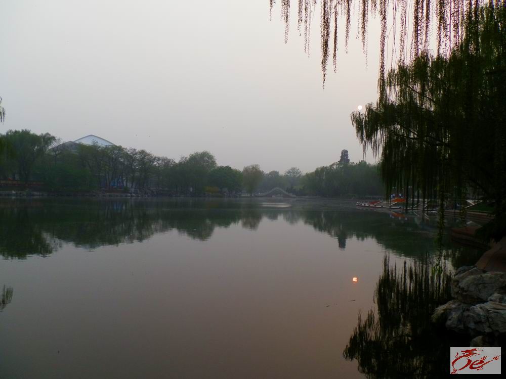 点击在新窗口查看原始图片