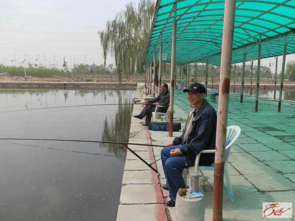 点击在新窗口查看原始图片