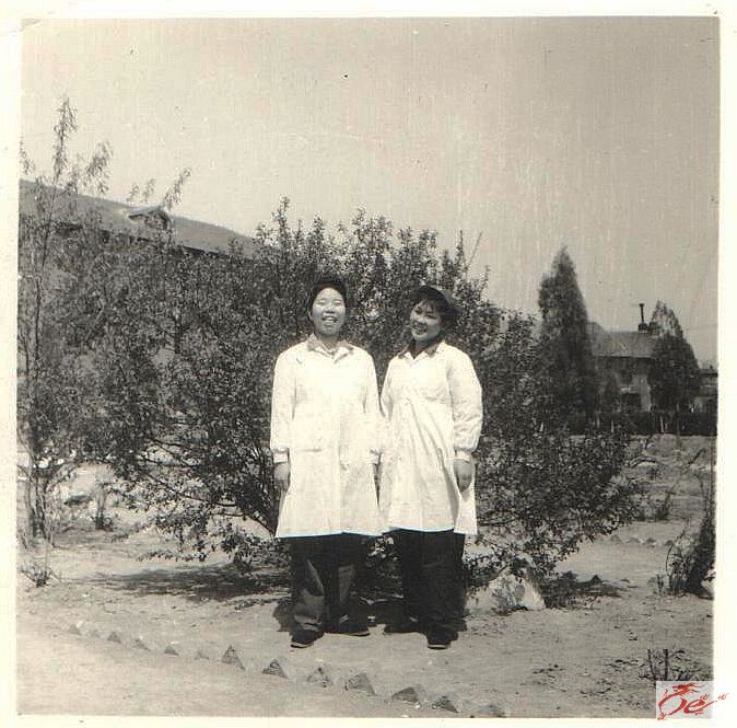 点击在新窗口查看原始图片