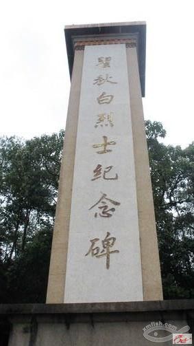 点击在新窗口查看原始图片