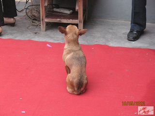 点击在新窗口查看原始图片