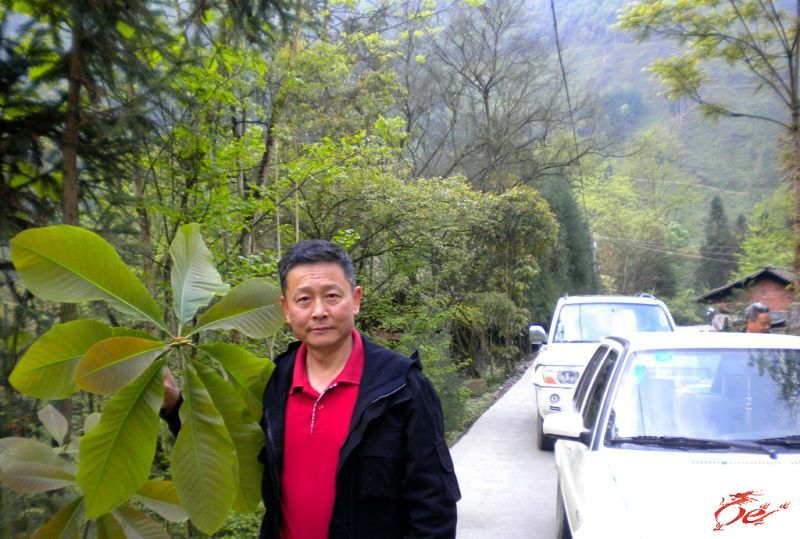 点击在新窗口查看原始图片