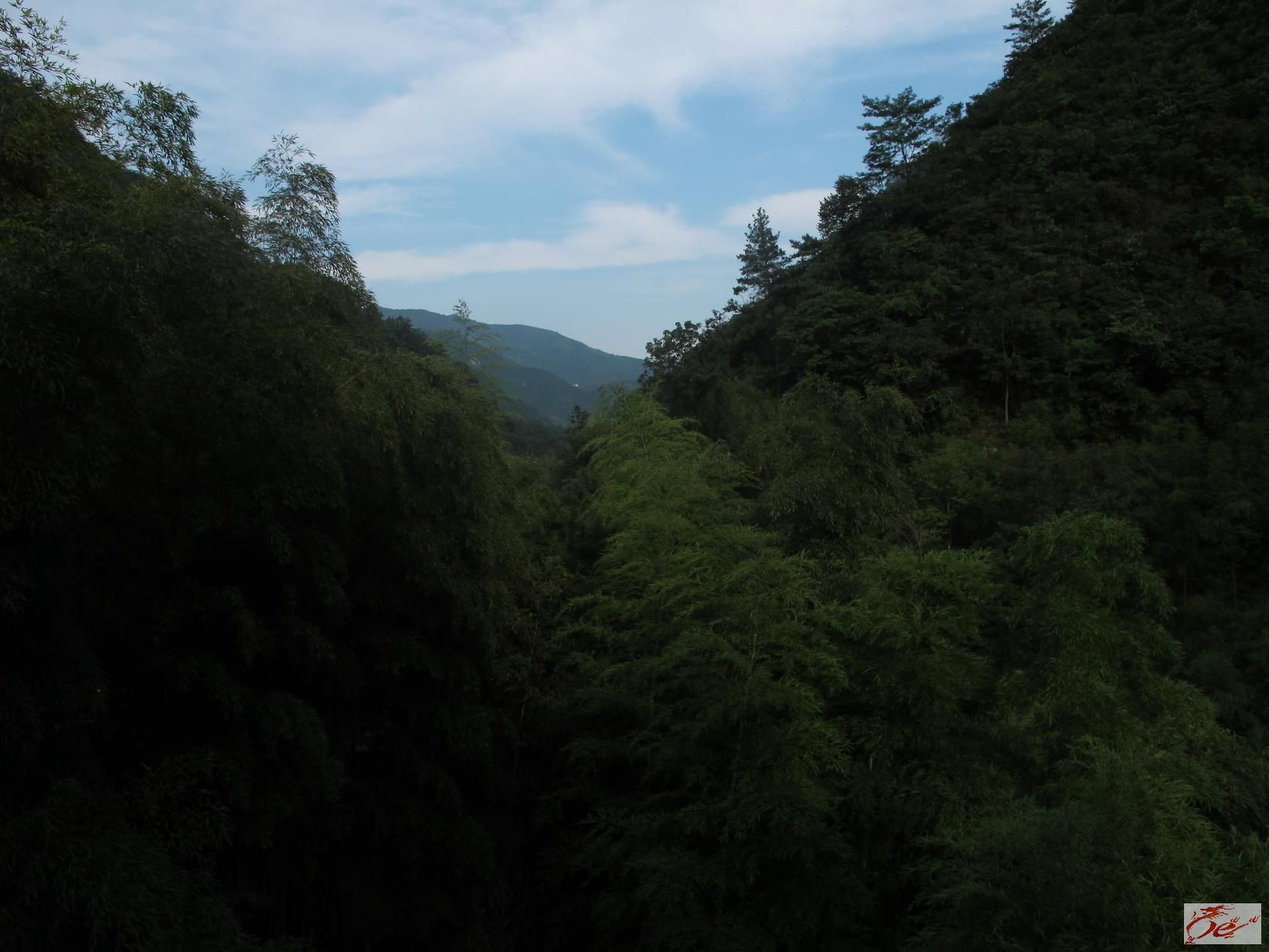 点击在新窗口查看原始图片