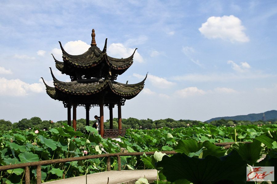 点击在新窗口查看原始图片