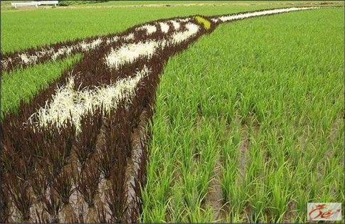 点击在新窗口查看原始图片
