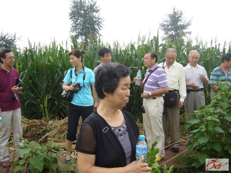 点击在新窗口查看原始图片