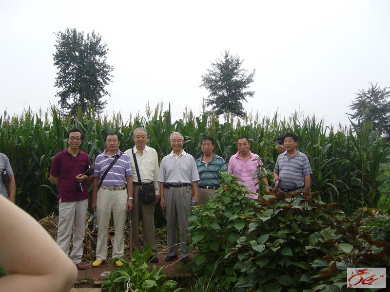 点击在新窗口查看原始图片
