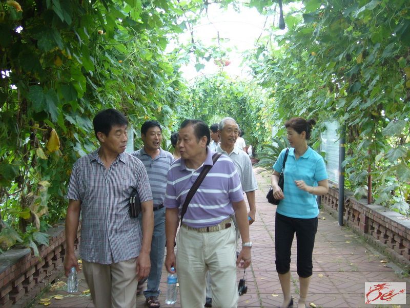 点击在新窗口查看原始图片