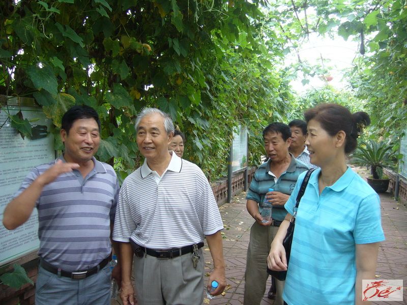 点击在新窗口查看原始图片