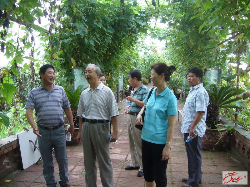 点击在新窗口查看原始图片