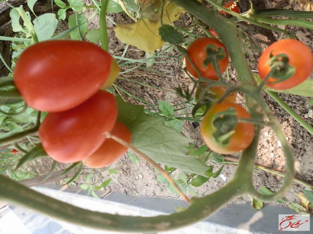 点击在新窗口查看原始图片