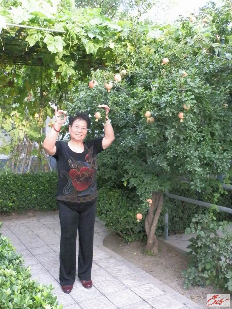 点击在新窗口查看原始图片