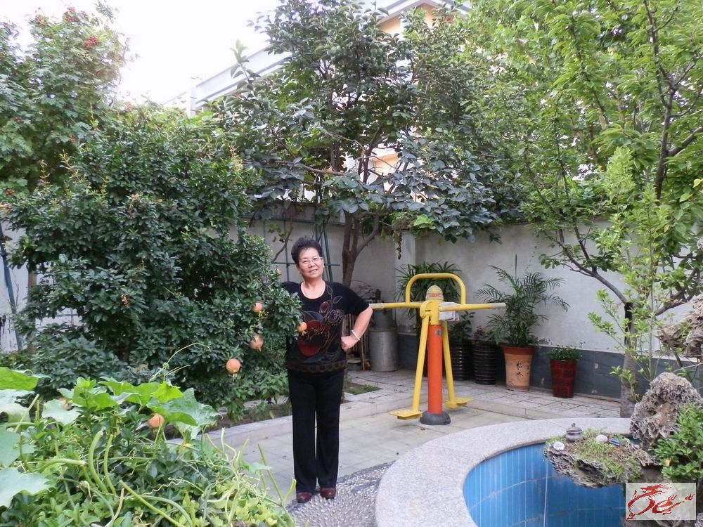 点击在新窗口查看原始图片