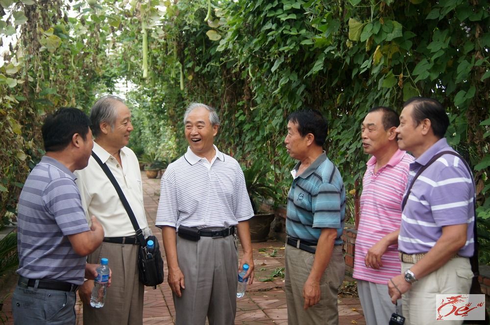点击在新窗口查看原始图片
