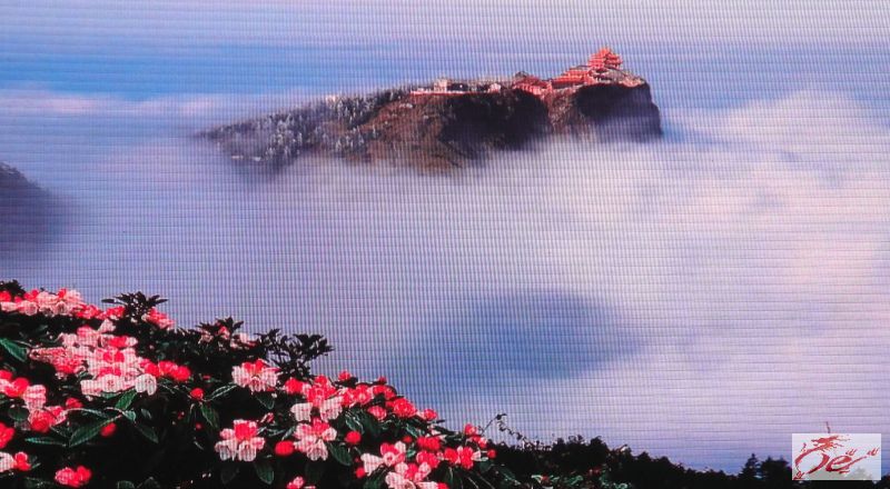 点击在新窗口查看原始图片