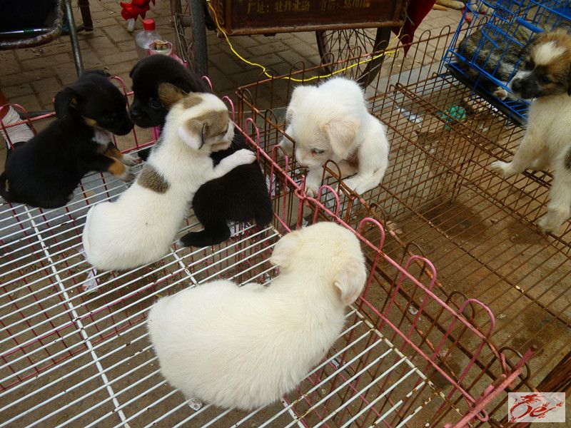 点击在新窗口查看原始图片