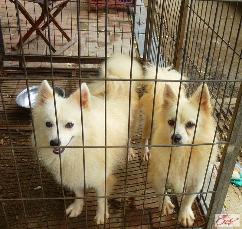 点击在新窗口查看原始图片