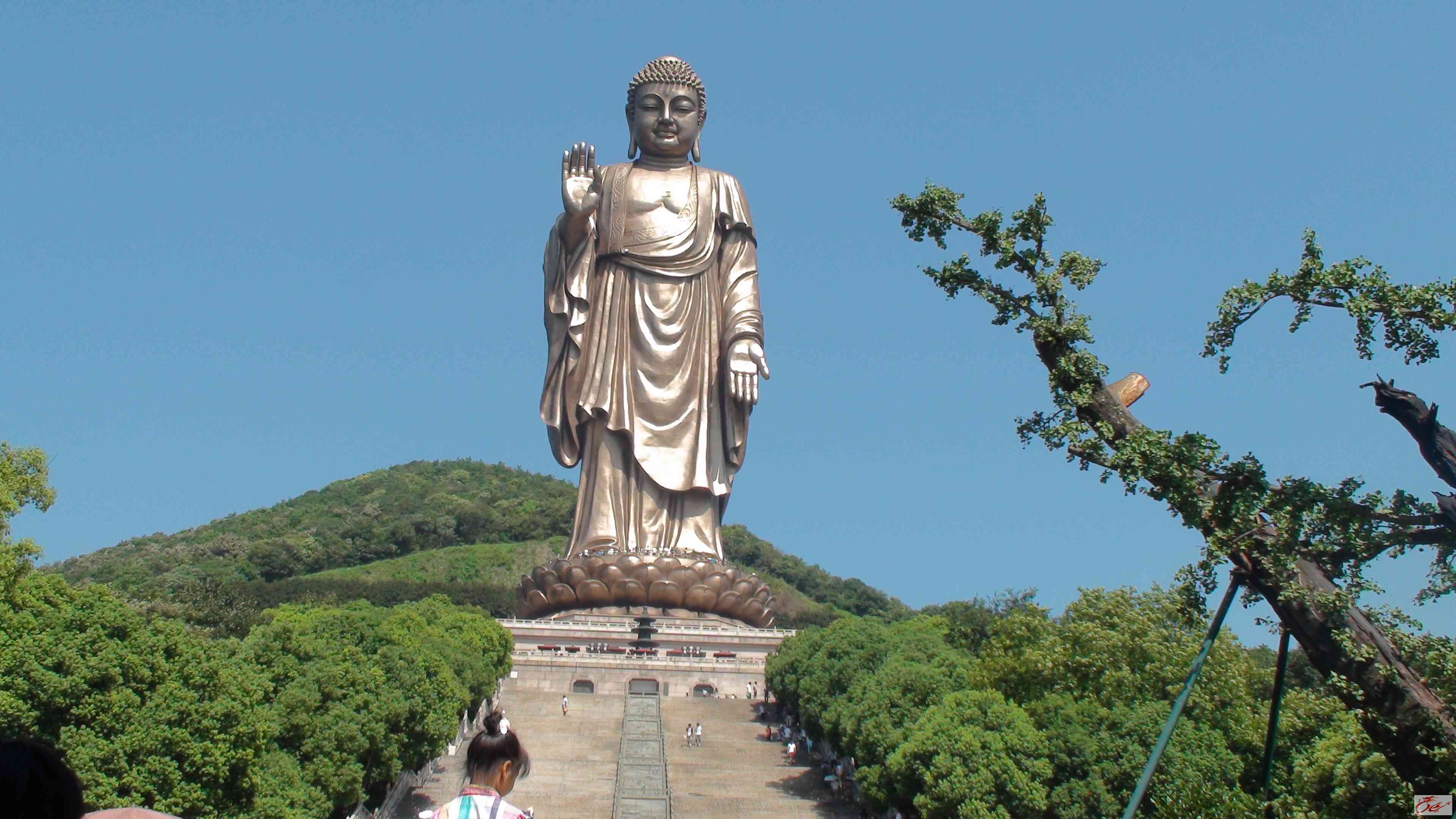 点击在新窗口查看原始图片