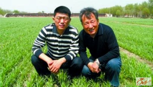 点击在新窗口查看原始图片