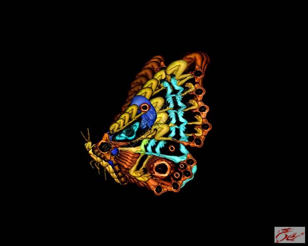 点击在新窗口查看原始图片