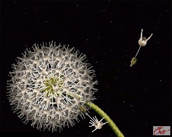 点击在新窗口查看原始图片