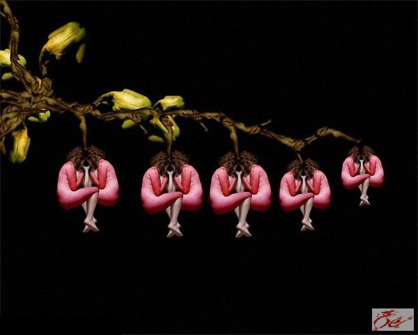 点击在新窗口查看原始图片