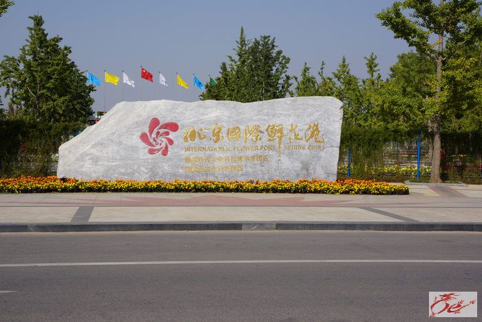 点击在新窗口查看原始图片