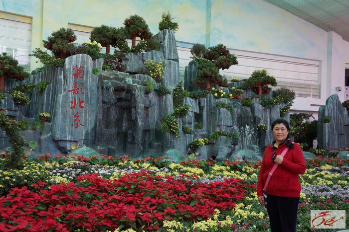 点击在新窗口查看原始图片