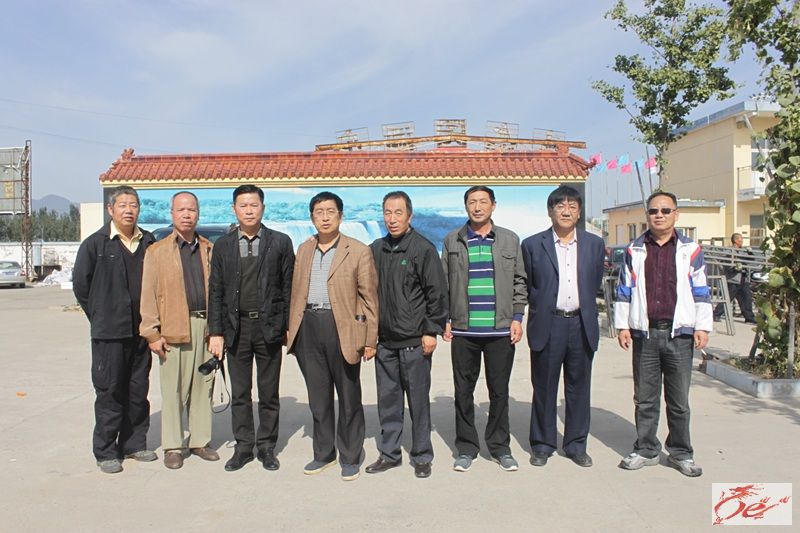 点击在新窗口查看原始图片