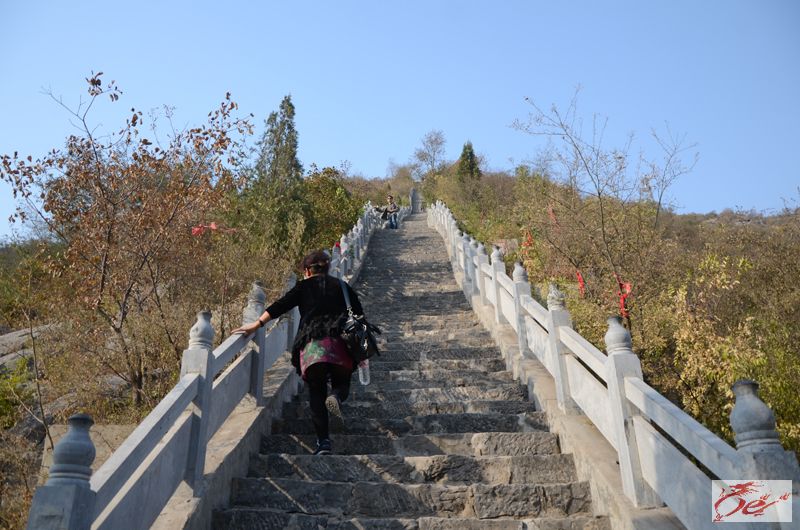点击在新窗口查看原始图片