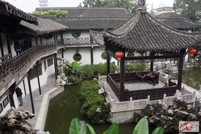 点击在新窗口查看原始图片
