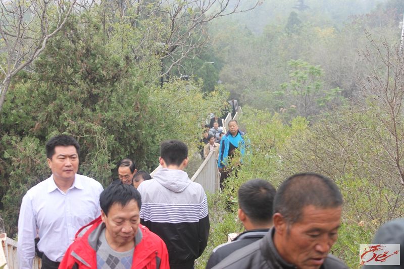 点击在新窗口查看原始图片