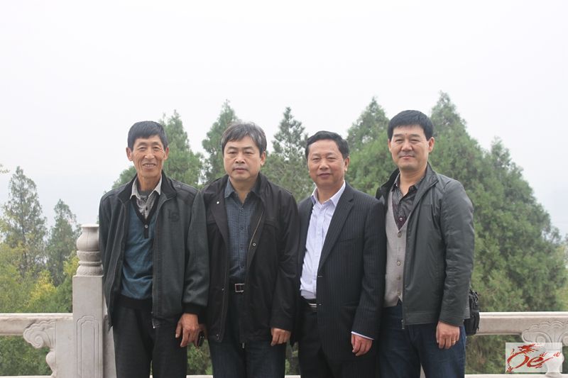 点击在新窗口查看原始图片