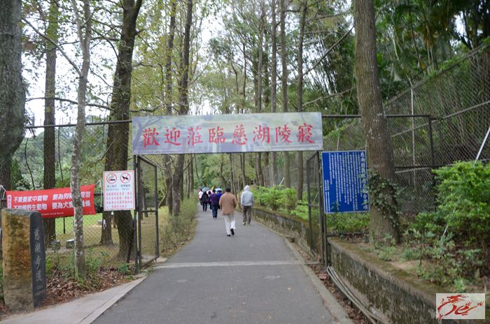 点击在新窗口查看原始图片