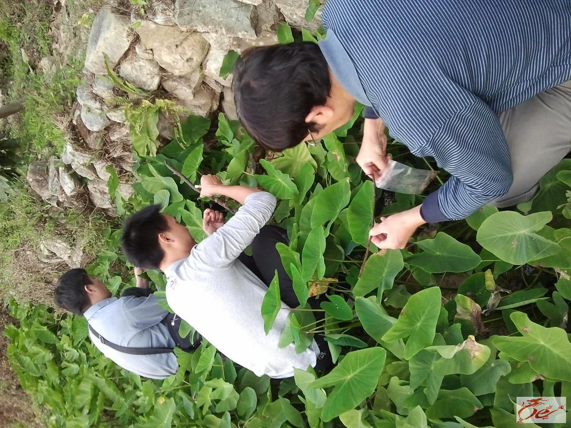 点击在新窗口查看原始图片
