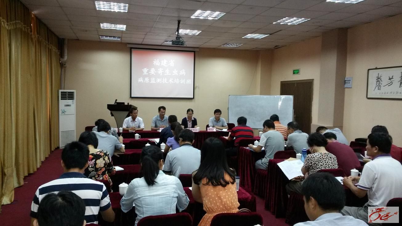 点击在新窗口查看原始图片