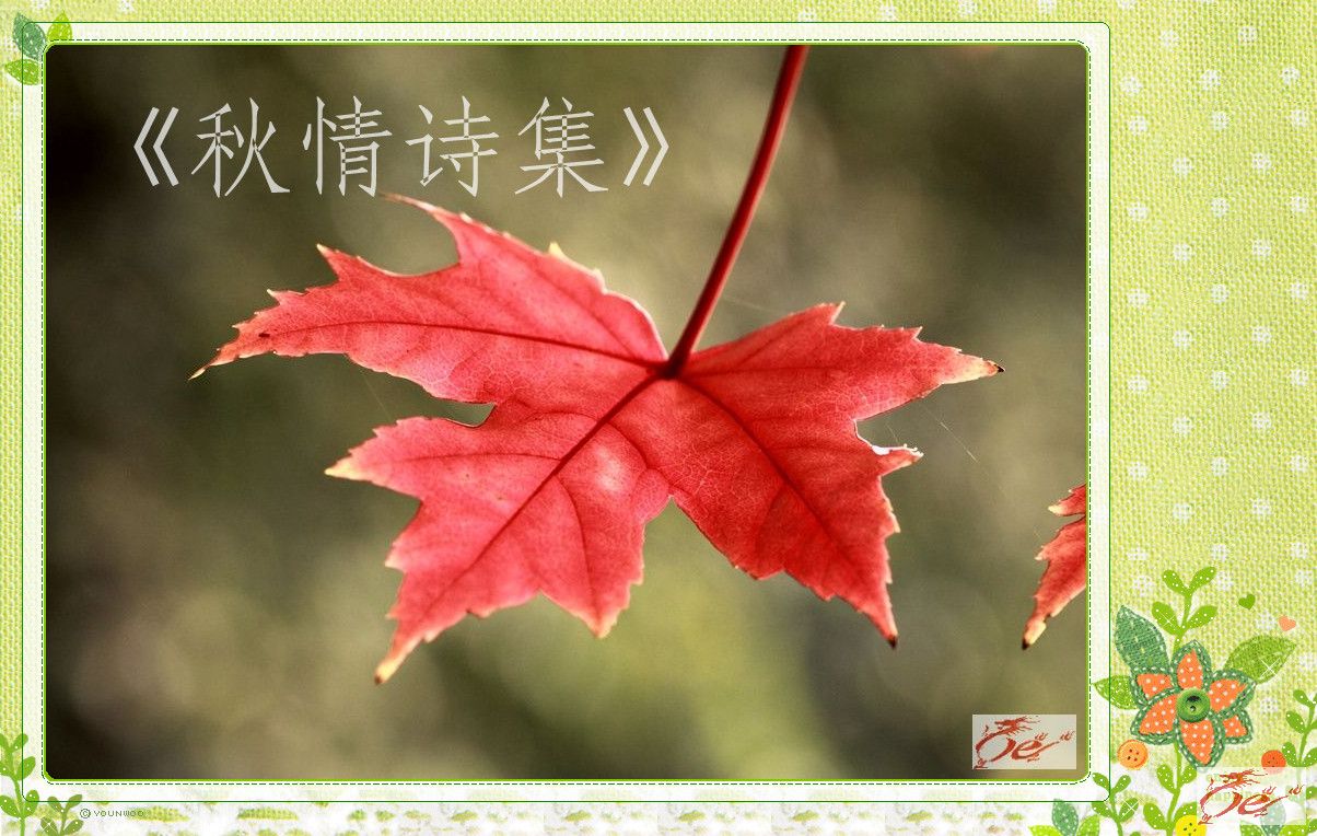 点击在新窗口查看原始图片