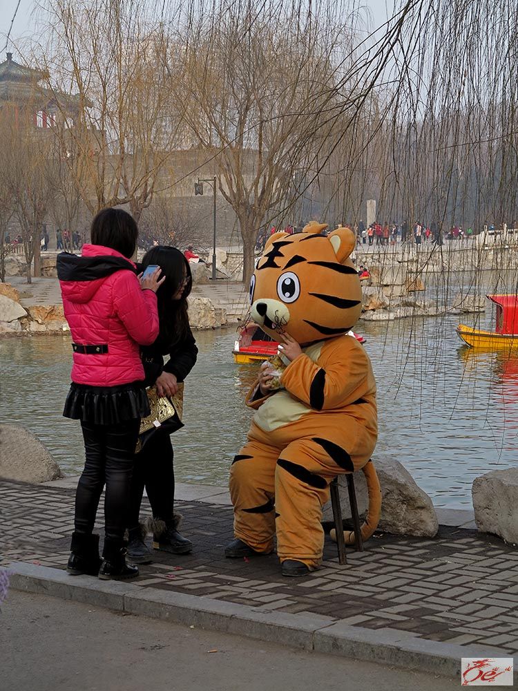 点击在新窗口查看原始图片