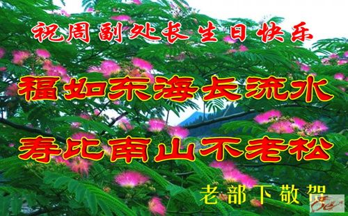 点击在新窗口查看原始图片