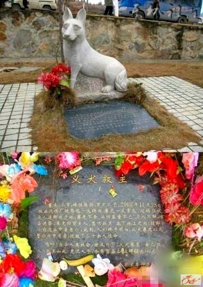 点击在新窗口查看原始图片