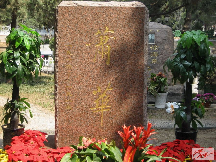 点击在新窗口查看原始图片
