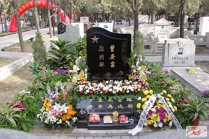 点击在新窗口查看原始图片
